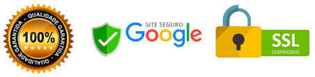site 100% seguro